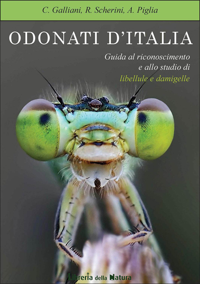 Odonati d''Italia: il libro!