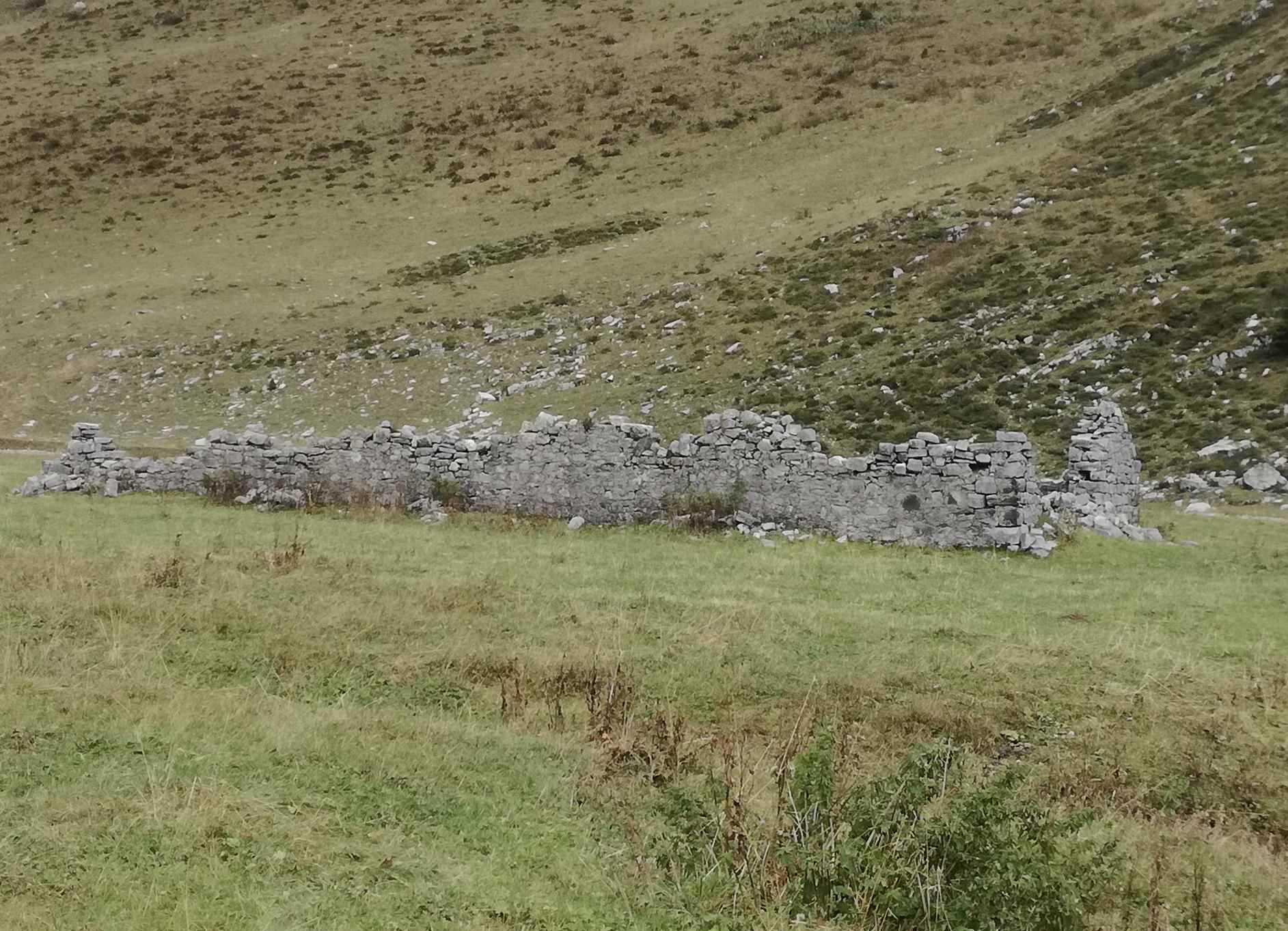 A caccia di Chilostoma nei dintorni del Pizzo Arera