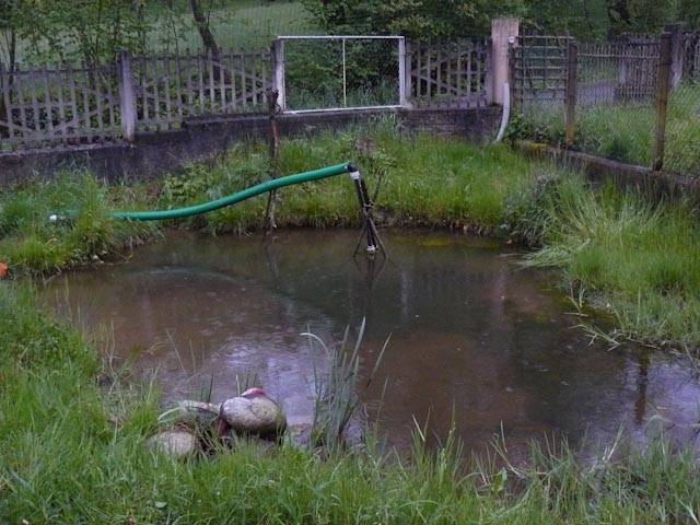 problemi con sito riproduttivo di anfibi in giardino