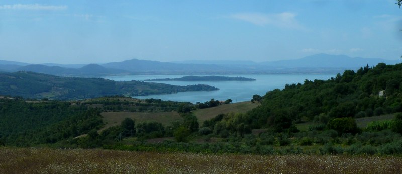 Alla ricerca della Lycaena dispar