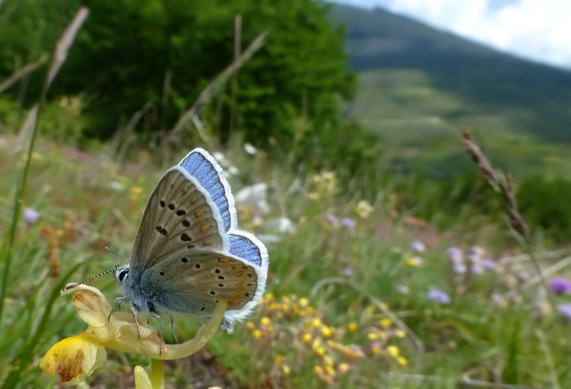 ..sotto la pioggia in montagna