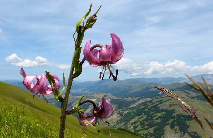 sui monti fra Lazio e Umbria 2