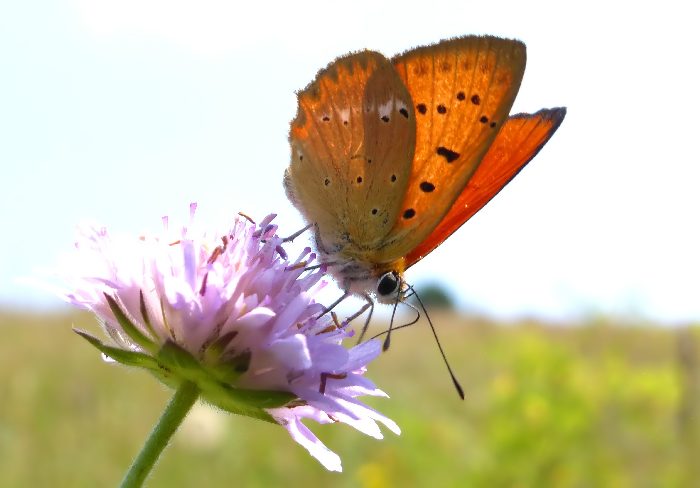 mattinata sul Subasio