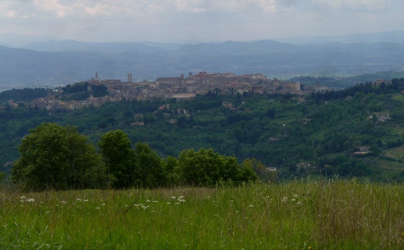 ..una farfalla al giorno