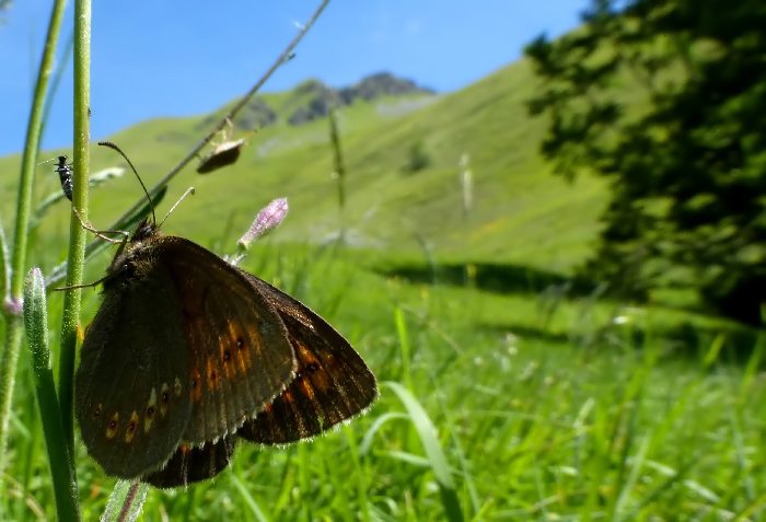 sui monti fra Lazio e Umbria 2