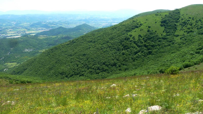 ..una farfalla al giorno