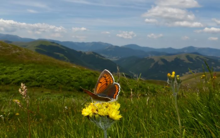 sui monti fra Lazio e Umbria 2