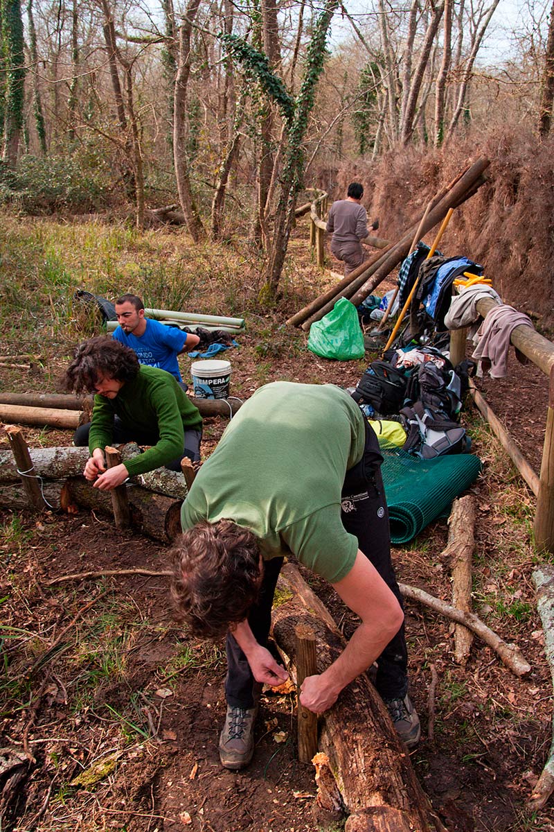 VOLONTANFIBI 2014: Parco Regionale MSRM