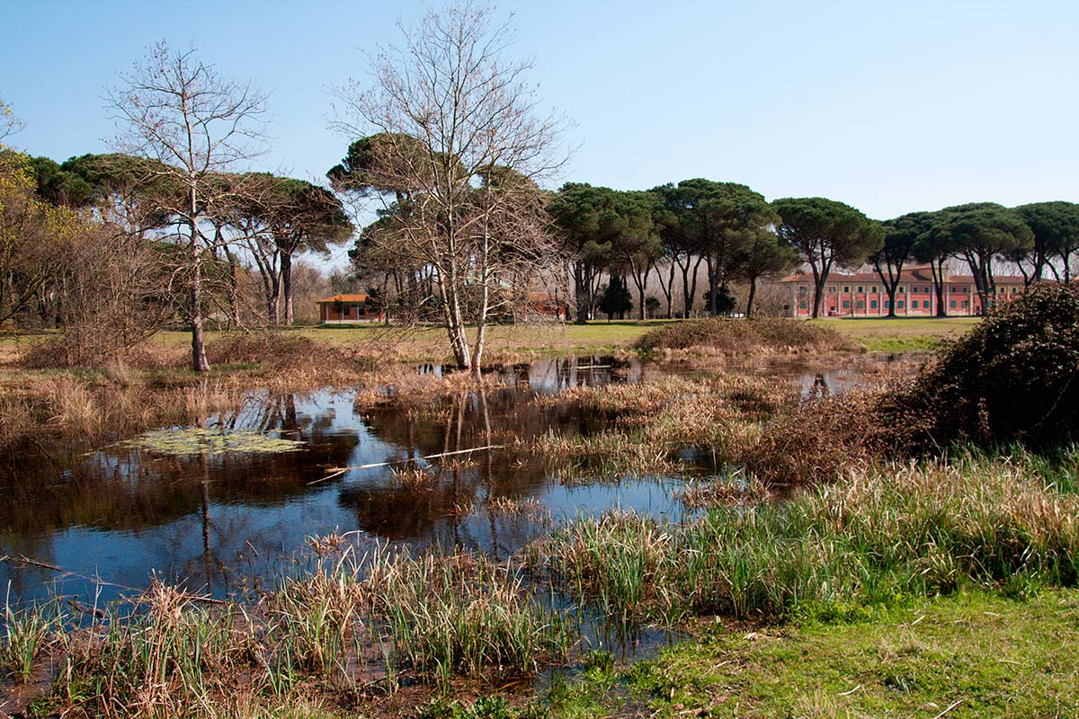 VOLONTANFIBI 2014: Parco Regionale MSRM