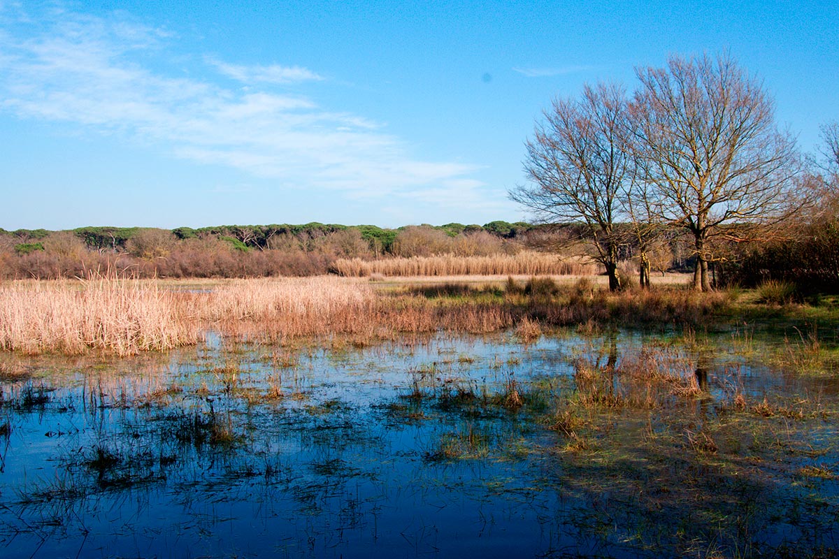 VOLONTANFIBI 2014: Parco Regionale MSRM