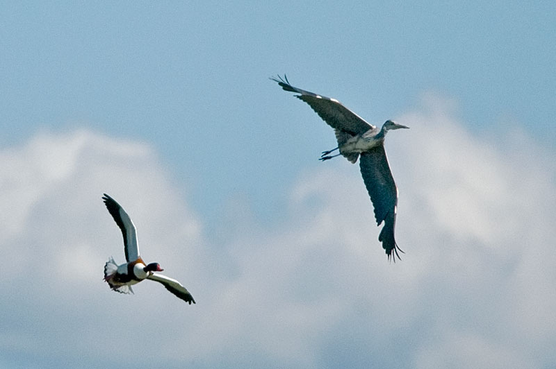 Natura nel Mondo