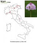 Traunsteinera globosa (mappa distribuzione)