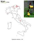 Cypripedium calceolus (mappa distribuzione)